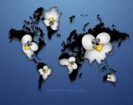 Карта с пингвинами